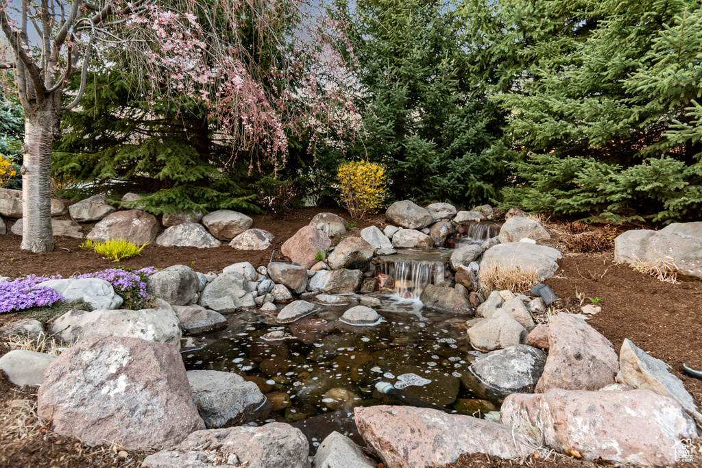 Details featuring a garden pond