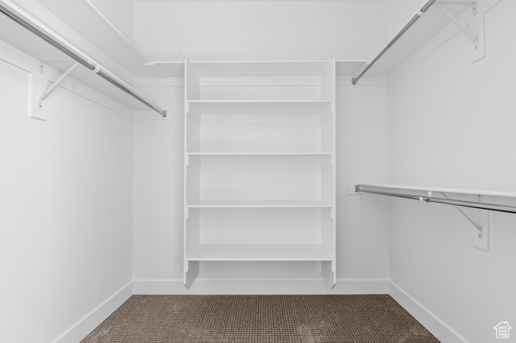 Spacious closet with carpet