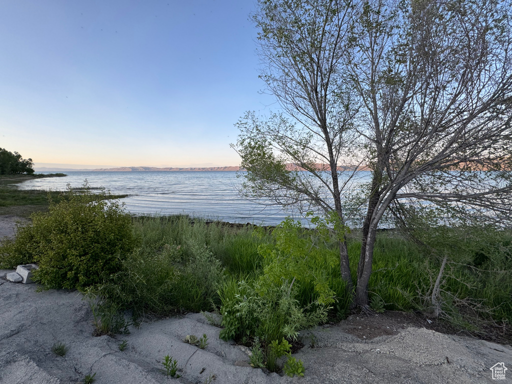 Water view