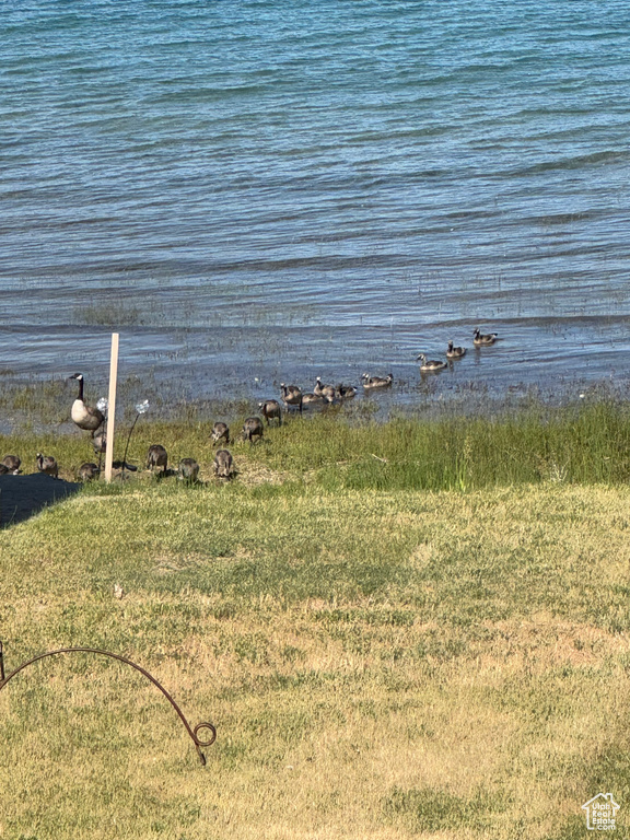 1640 S BEAR LAKE BLVD Garden City, UT 84028
