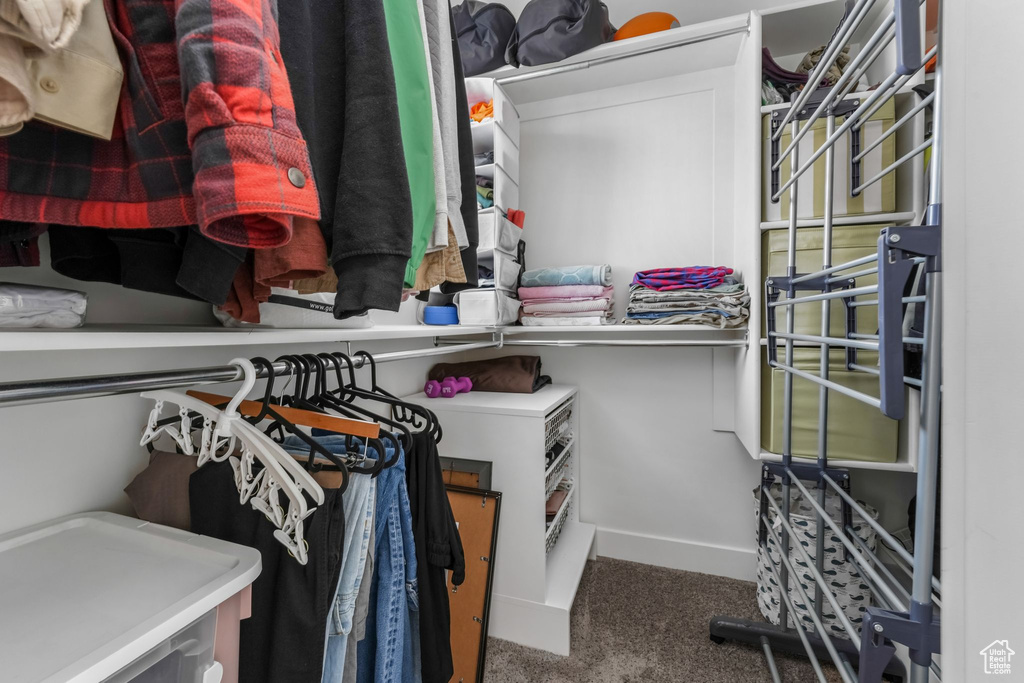 Spacious closet with carpet floors