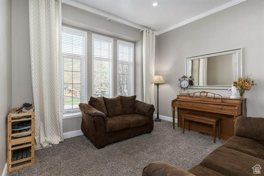 Living room with baseboards, ornamental molding, and carpet flooring