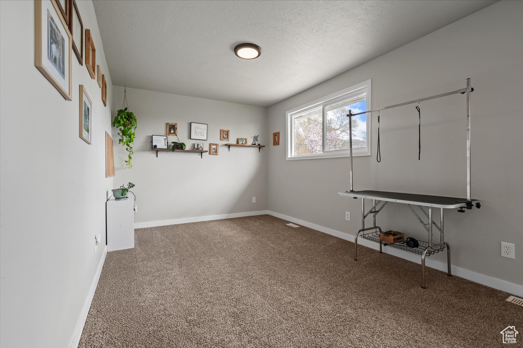 Carpeted spare room with visible vents, baseboards, and a textured ceiling