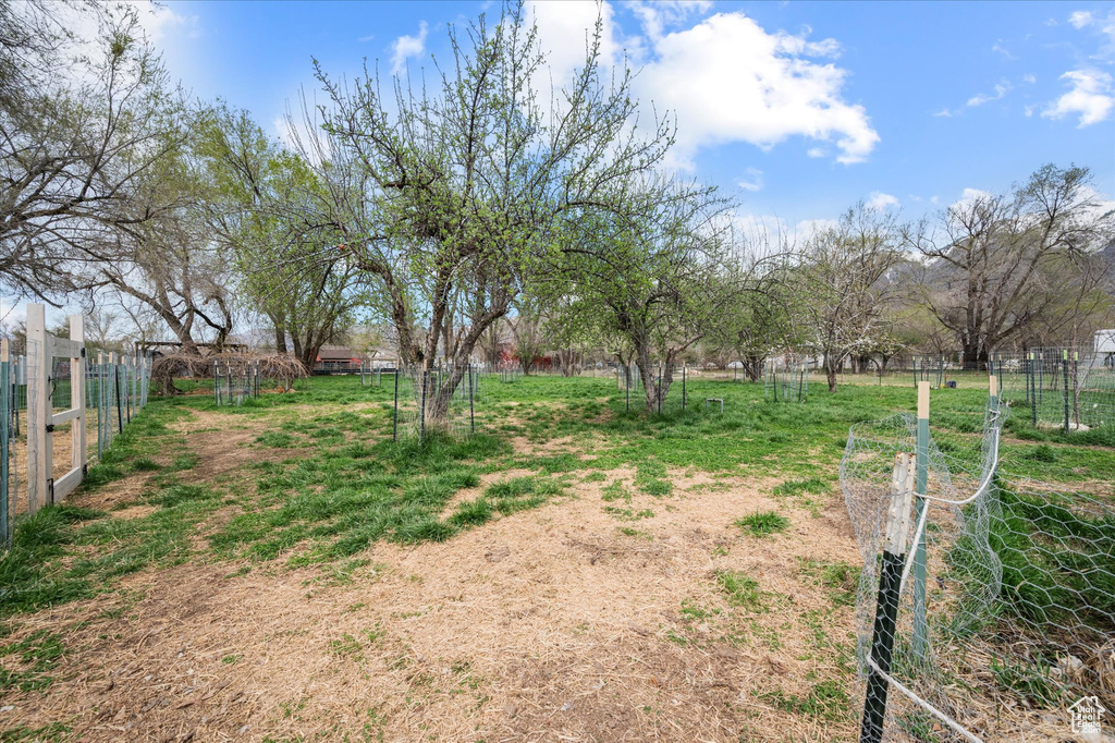 View of yard featuring fence