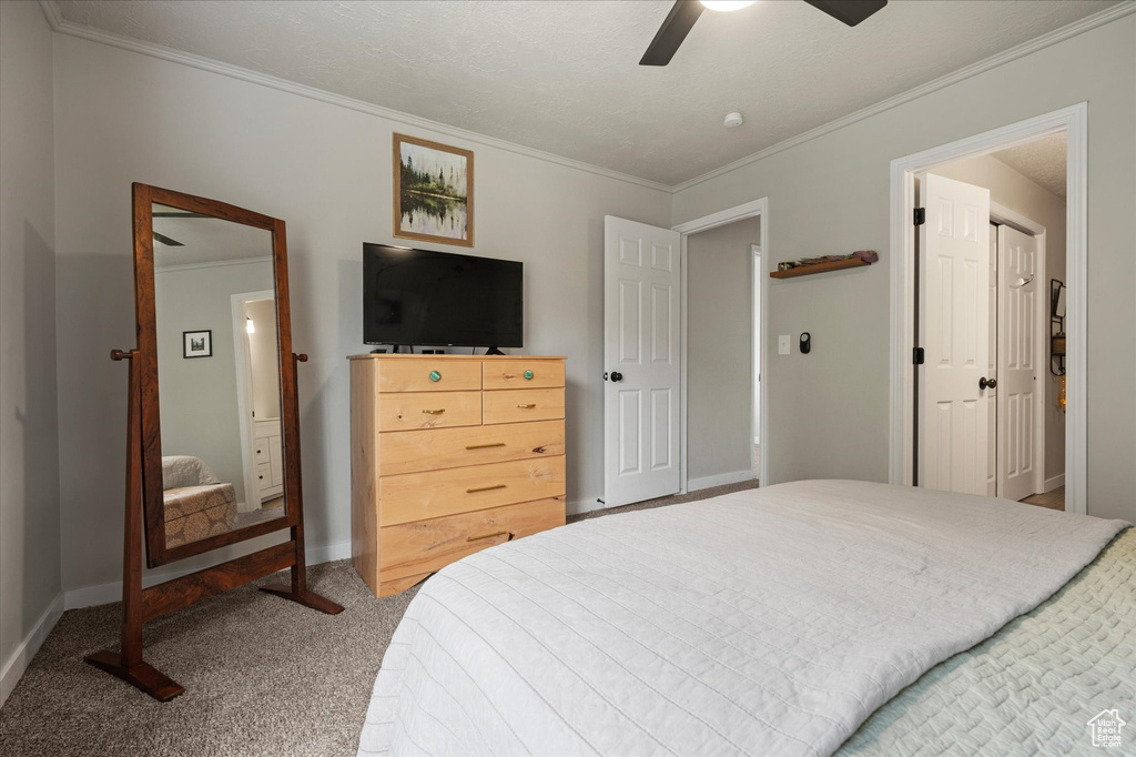 Bedroom with crown molding, baseboards, ceiling fan, and carpet