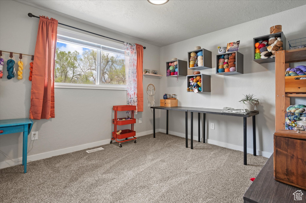 Interior space with a textured ceiling, baseboards, and carpet