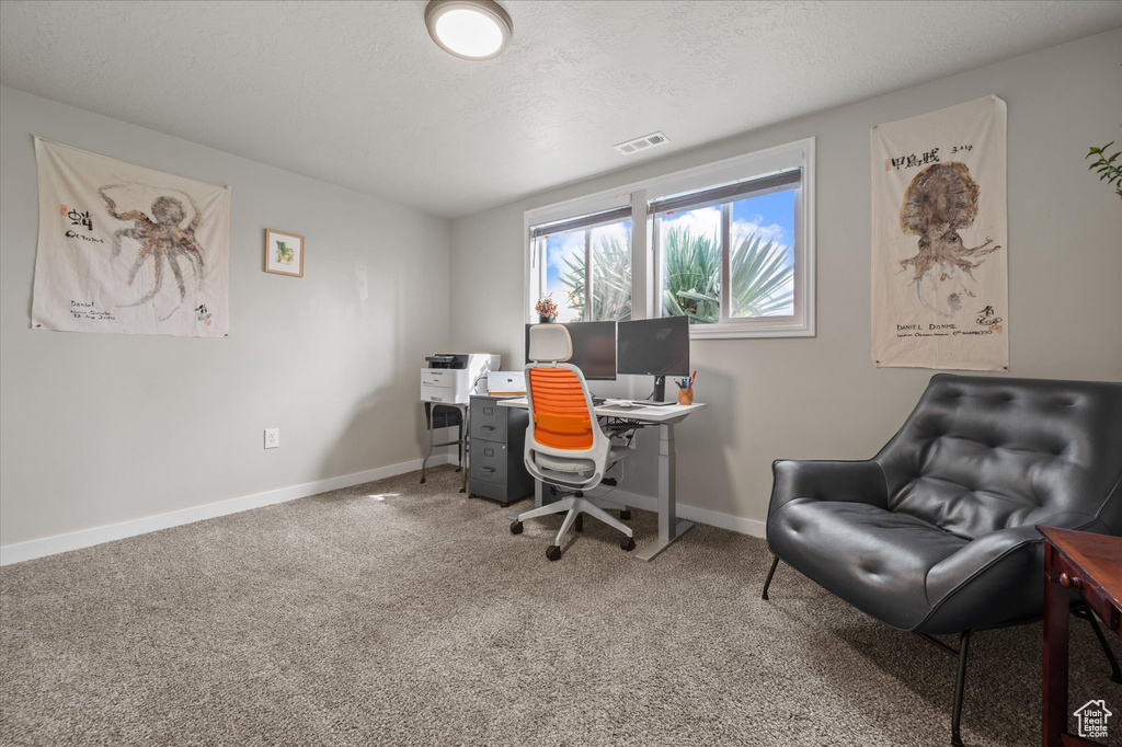 Office space with visible vents, baseboards, and carpet flooring