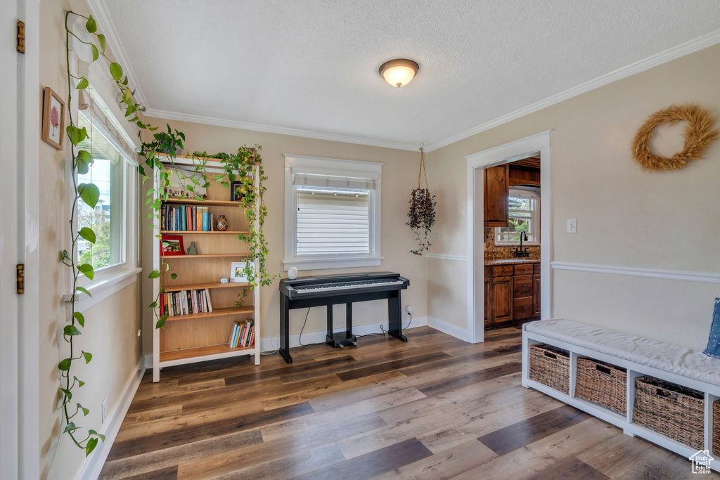 Sitting room with wood finished floors, a wealth of natural light, crown molding, and baseboards