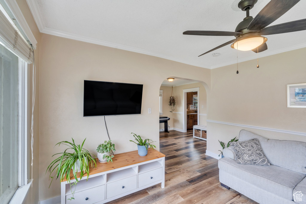 Living room with wood finished floors, ornamental molding, arched walkways, baseboards, and ceiling fan