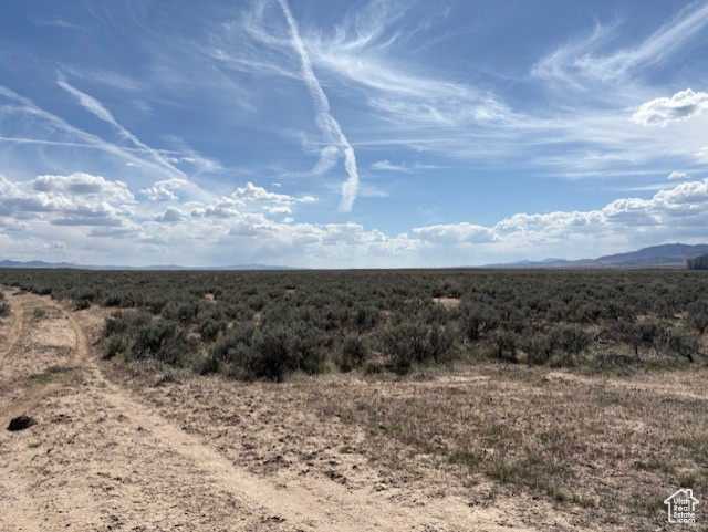 View of local wilderness with a mountain view