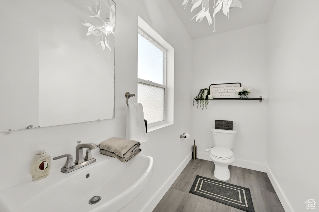 Half bathroom with a sink, wood finished floors, toilet, and baseboards