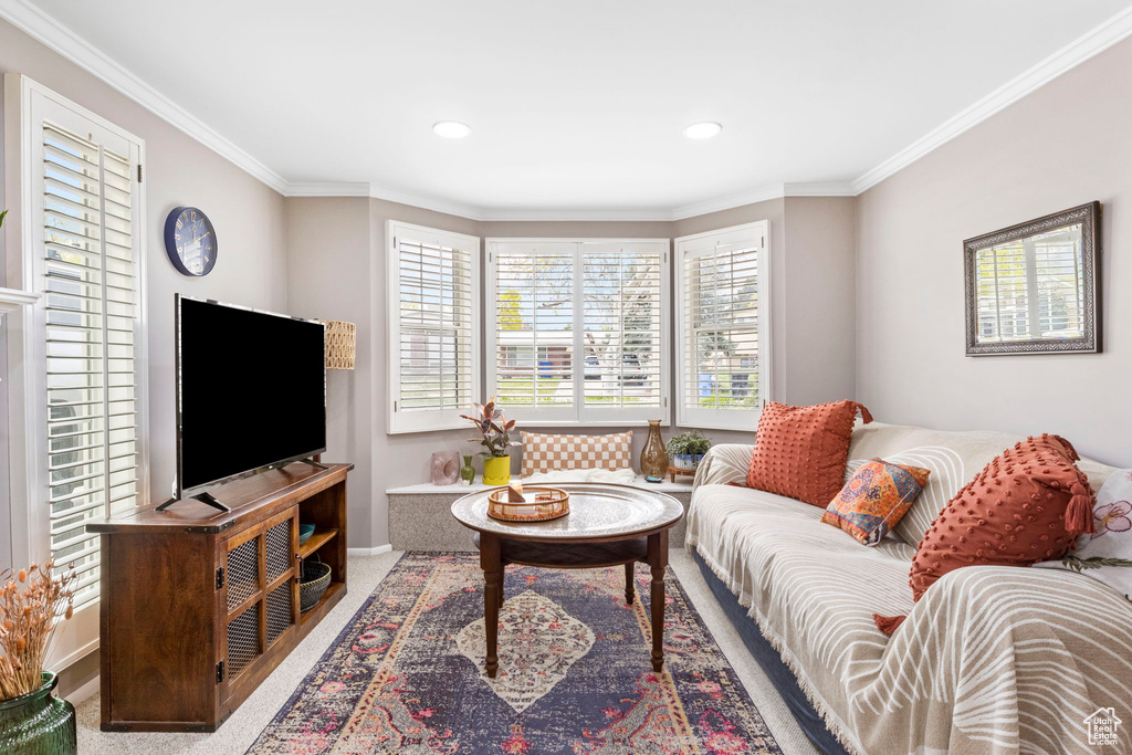 Living area featuring baseboards, ornamental molding, carpet floors, and recessed lighting