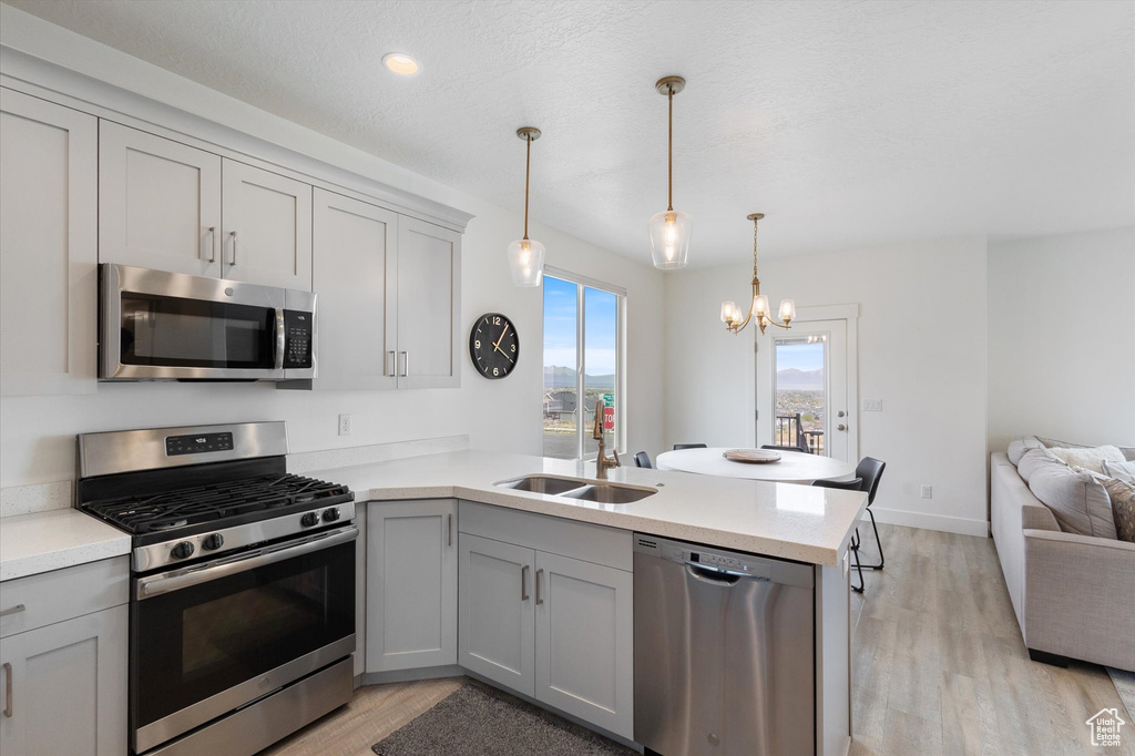 Kitchen featuring light wood finished floors, stainless steel appliances, a peninsula, a sink, and gray cabinets
