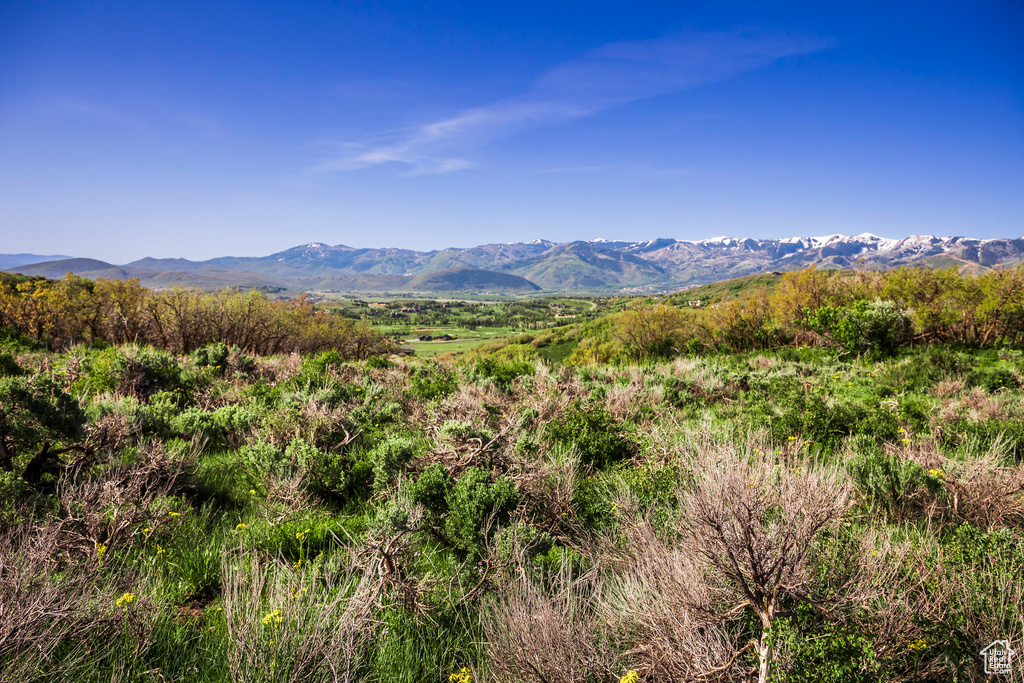 View of mountain background