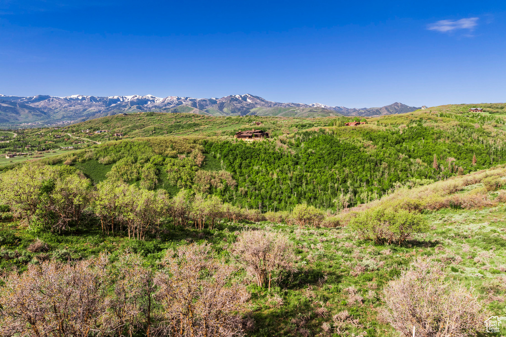 Mountain view