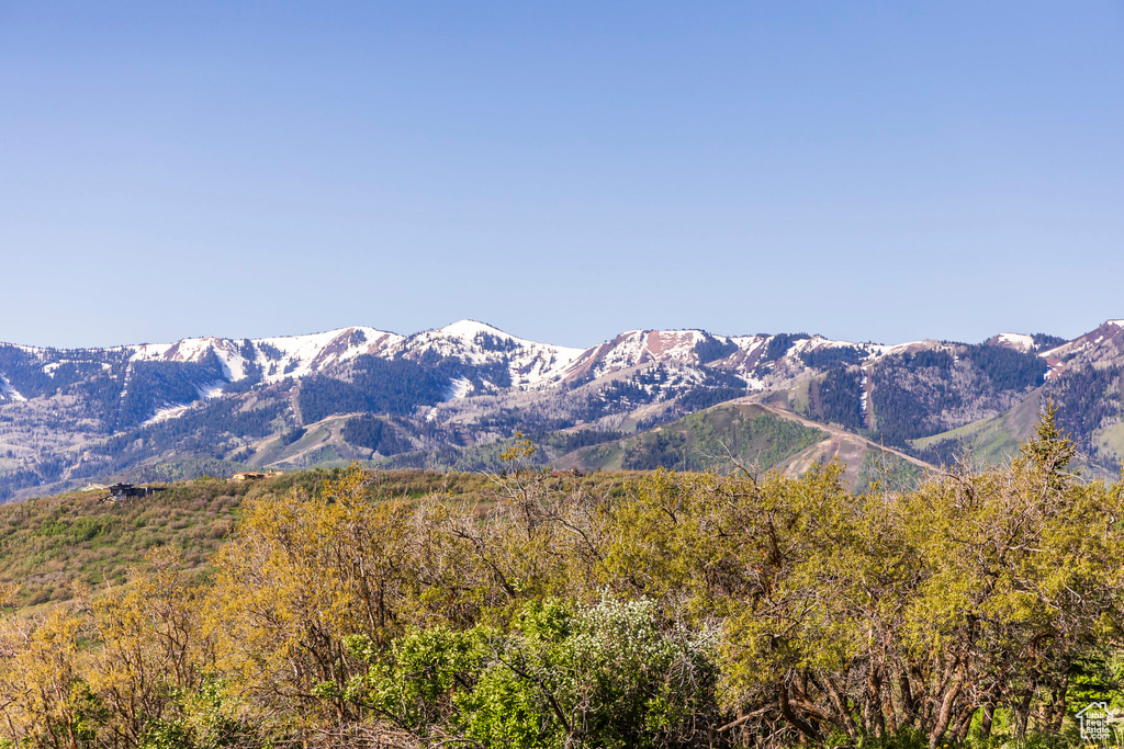View of mountain background