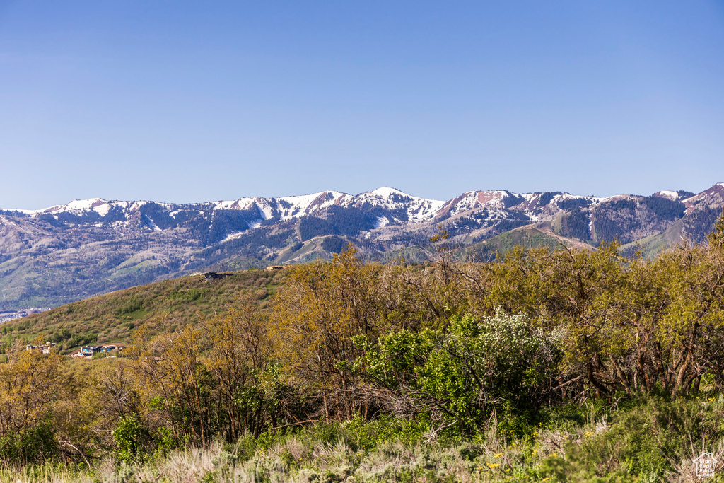 View of mountain backdrop
