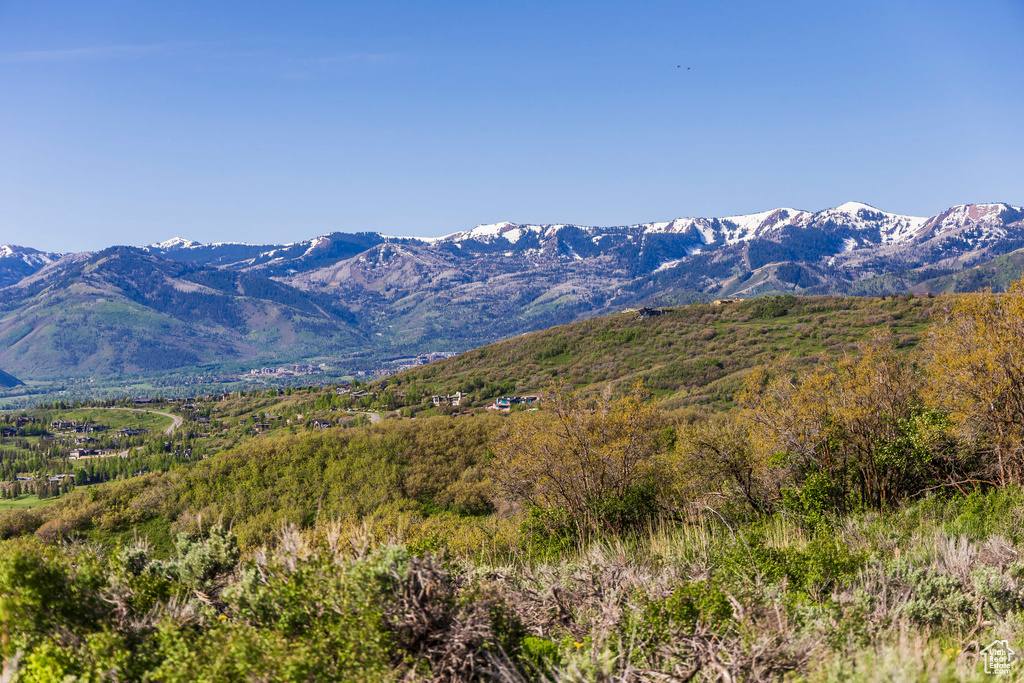 View of mountain background