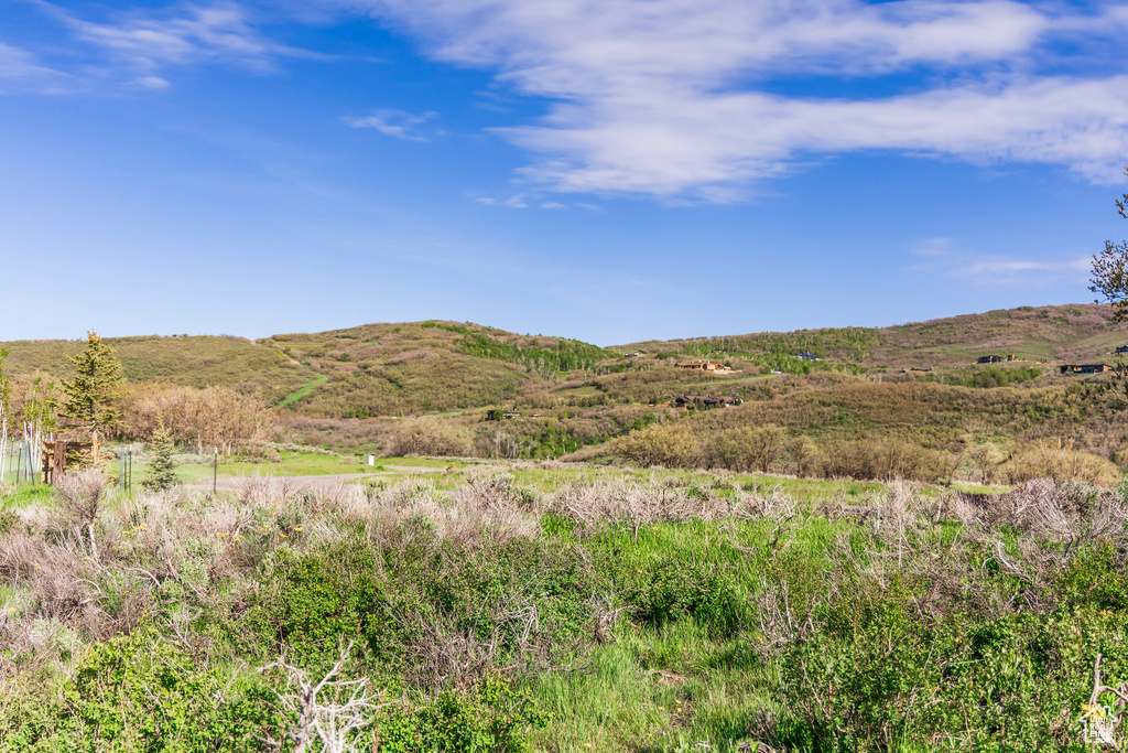 Mountain view