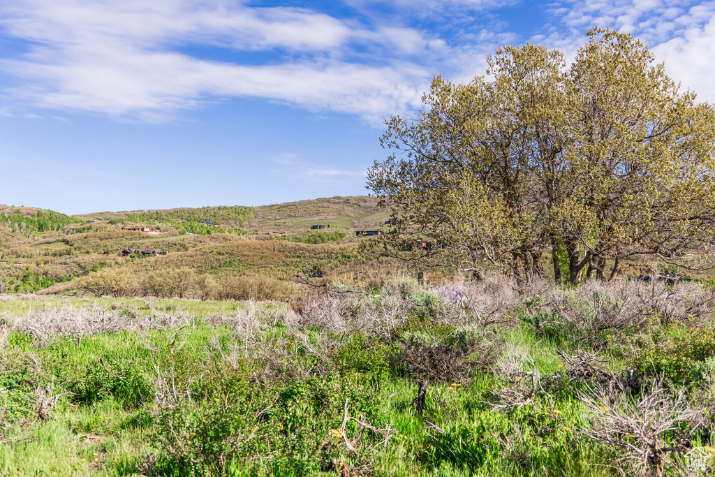 View of nature