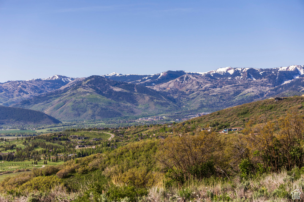 Mountain view