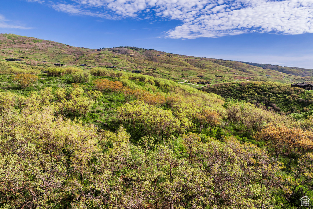 View of mountain backdrop