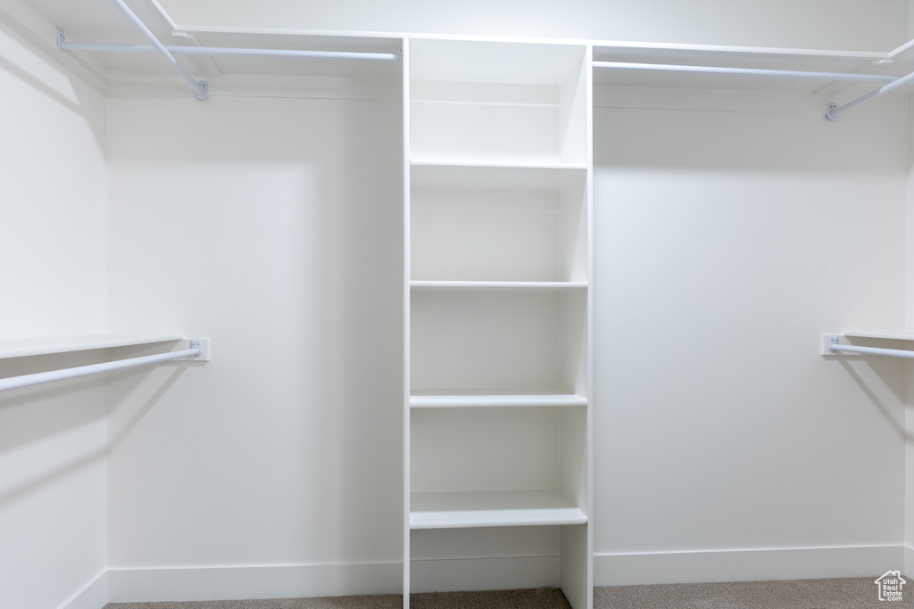 Spacious closet featuring carpet floors
