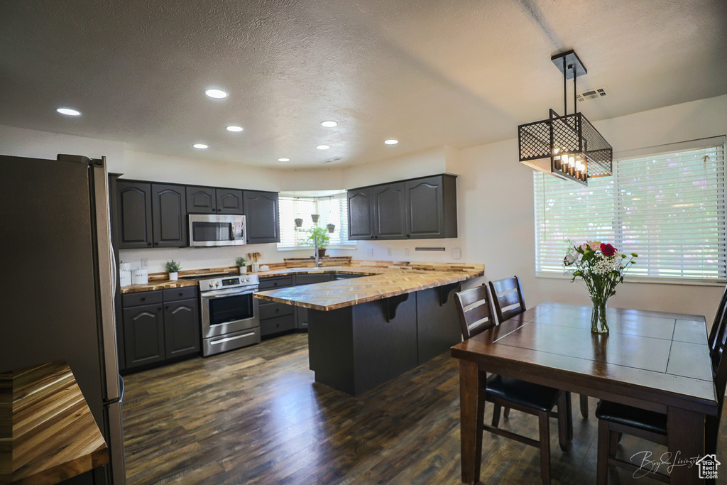 Kitchen with stainless steel appliances, a peninsula, recessed lighting, and dark wood finished floors