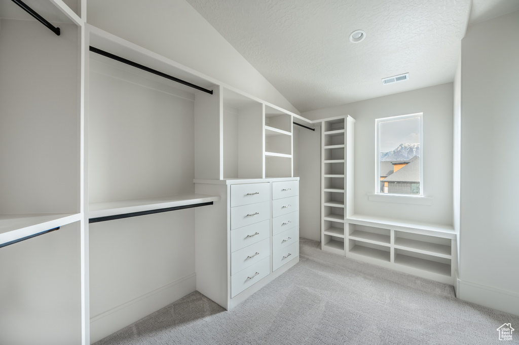 Spacious closet with light colored carpet