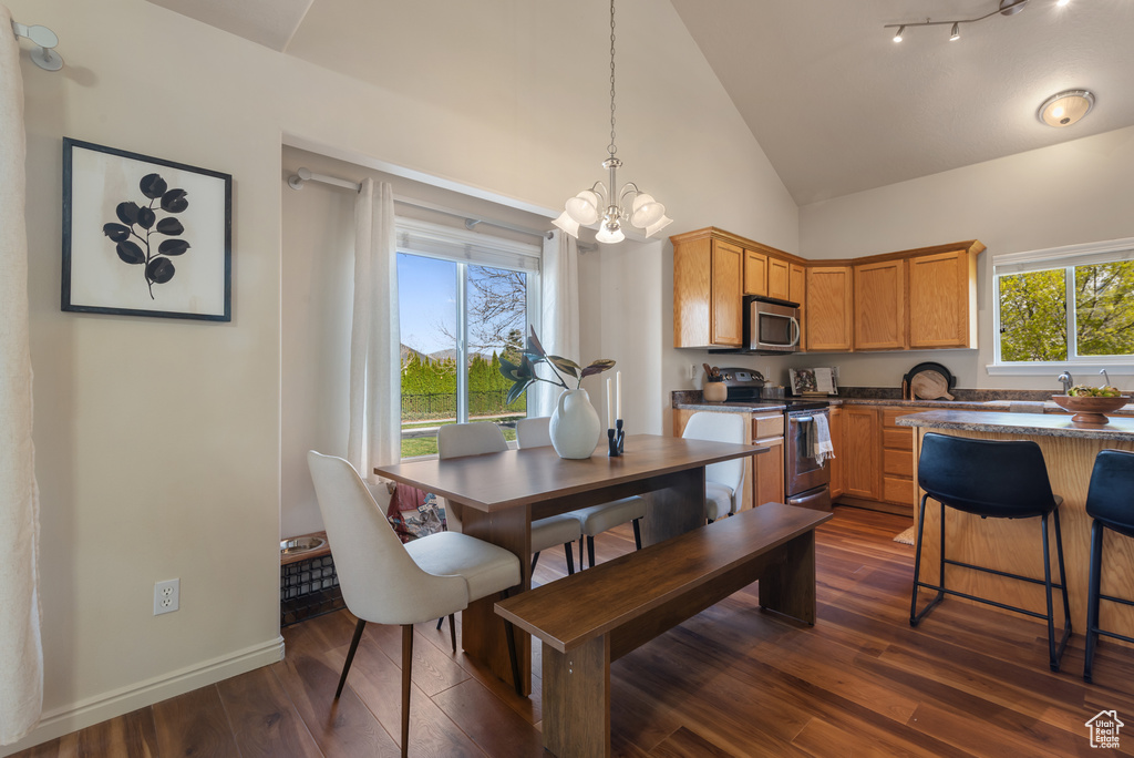 Dining room featuring baseboards, high vaulted ceiling, a chandelier, and dark wood finished floors