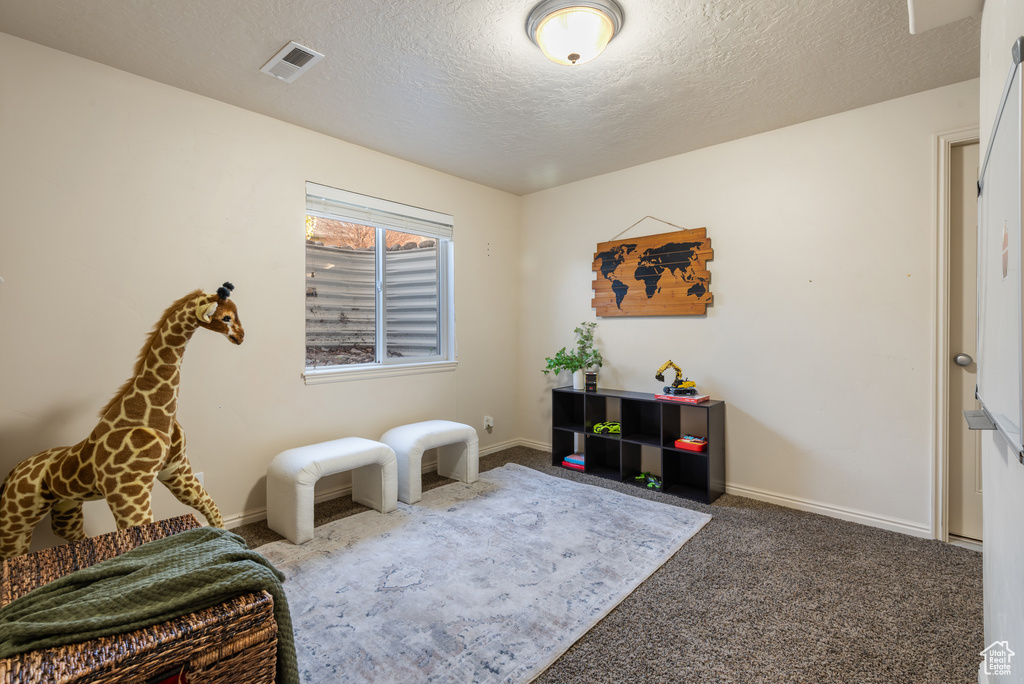 Living area featuring baseboards, a textured ceiling, visible vents, and carpet
