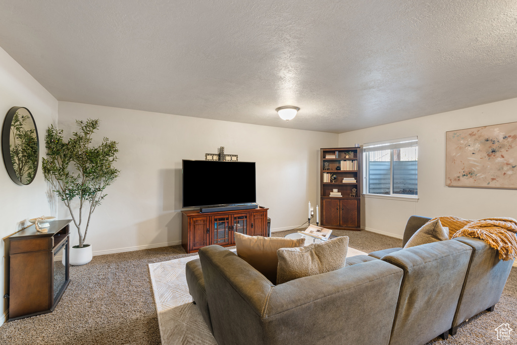 Carpeted living room featuring baseboards and a textured ceiling
