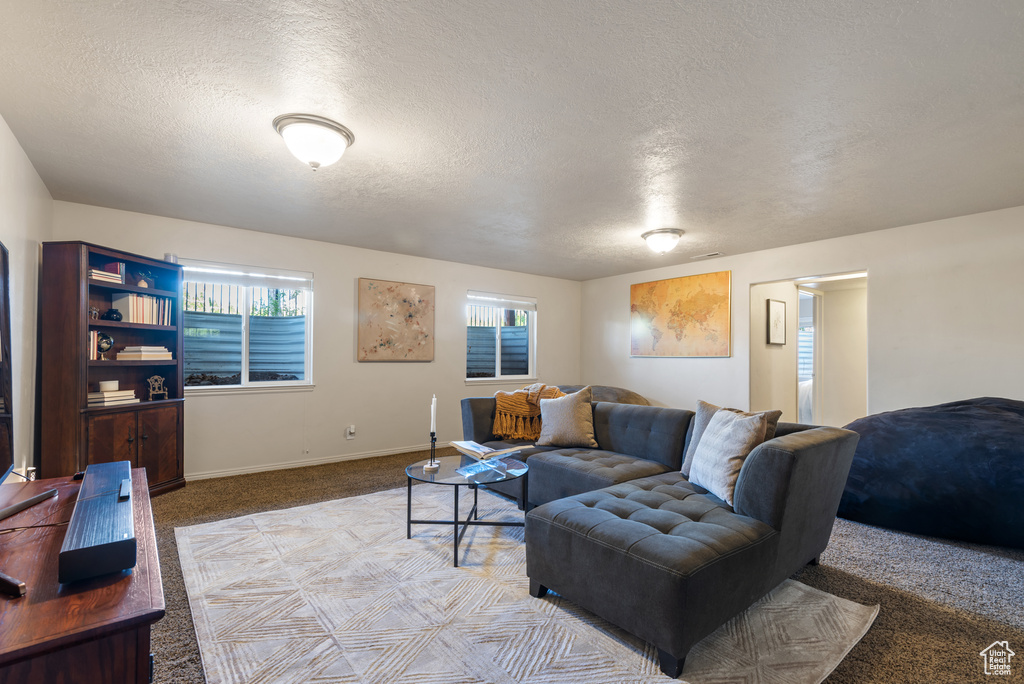 Living room with plenty of natural light, a textured ceiling, baseboards, and light carpet