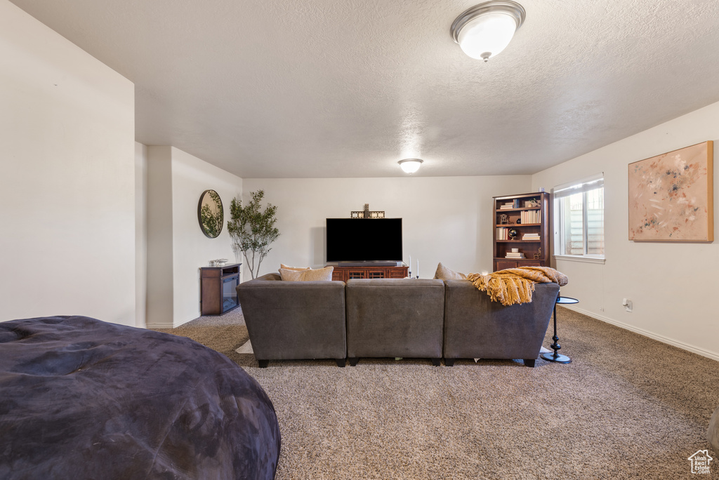 Carpeted living room with baseboards and a textured ceiling