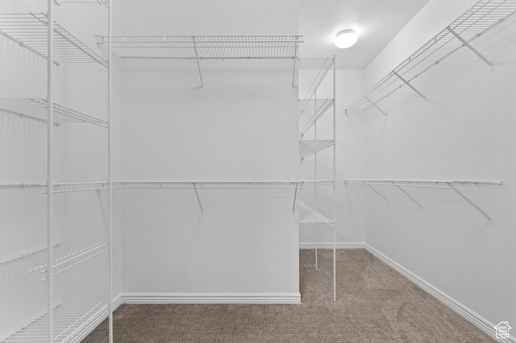 Spacious closet with carpet floors