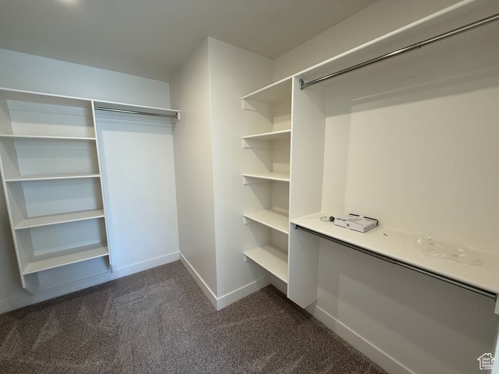 Walk in closet featuring dark carpet