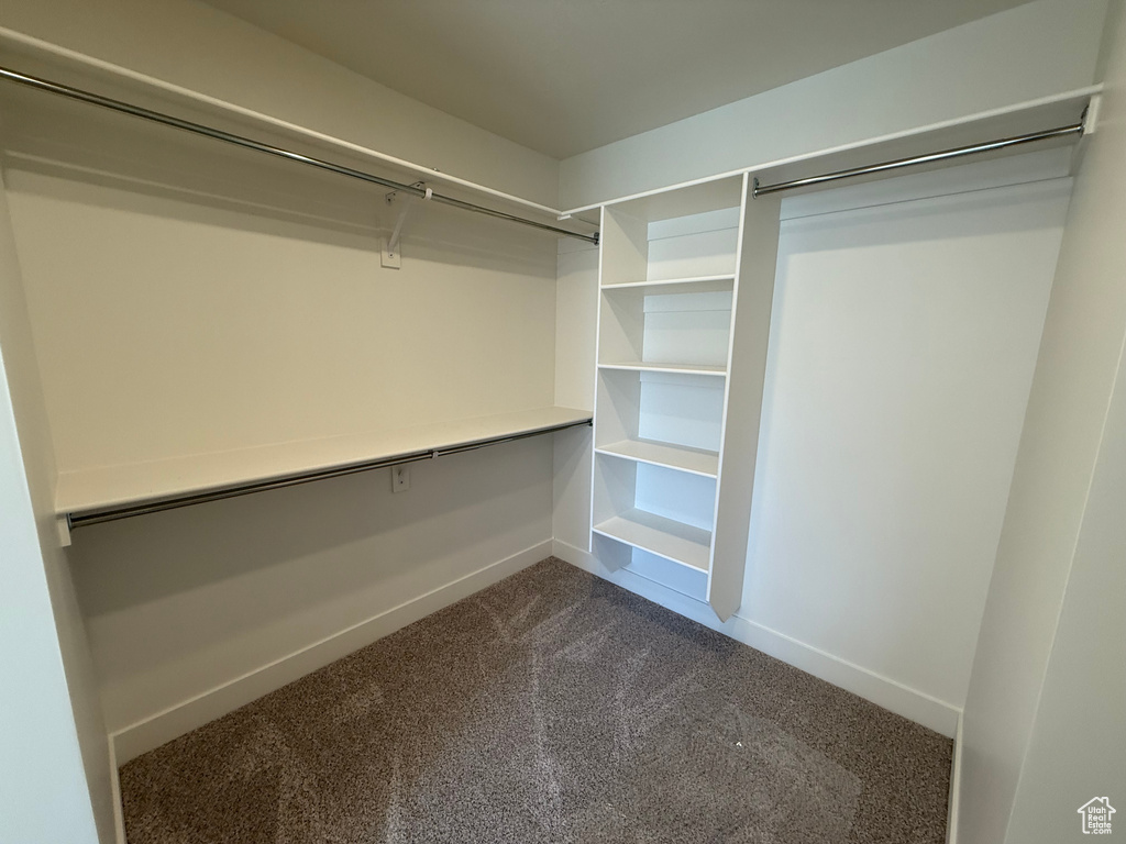 Spacious closet featuring dark colored carpet and built in study area