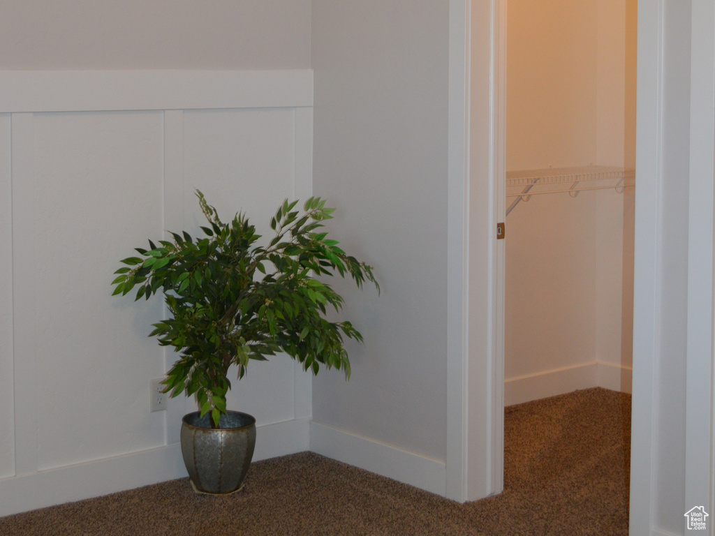 Corridor featuring a wainscoted wall and carpet flooring
