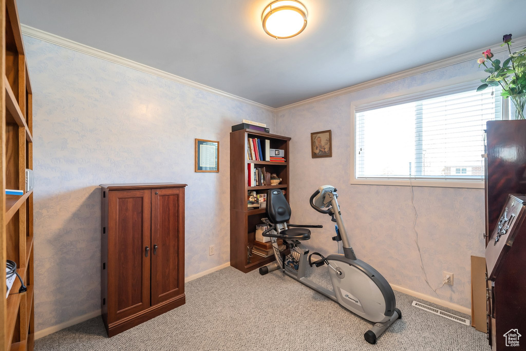 Workout area with baseboards, visible vents, carpet, and crown molding