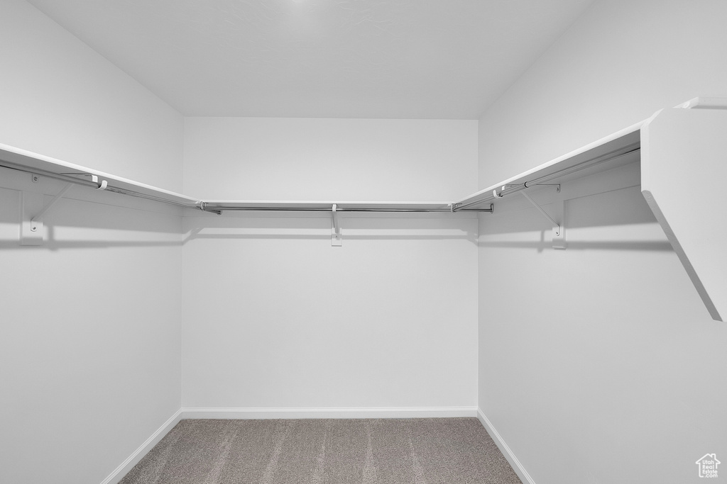 Spacious closet with carpet floors