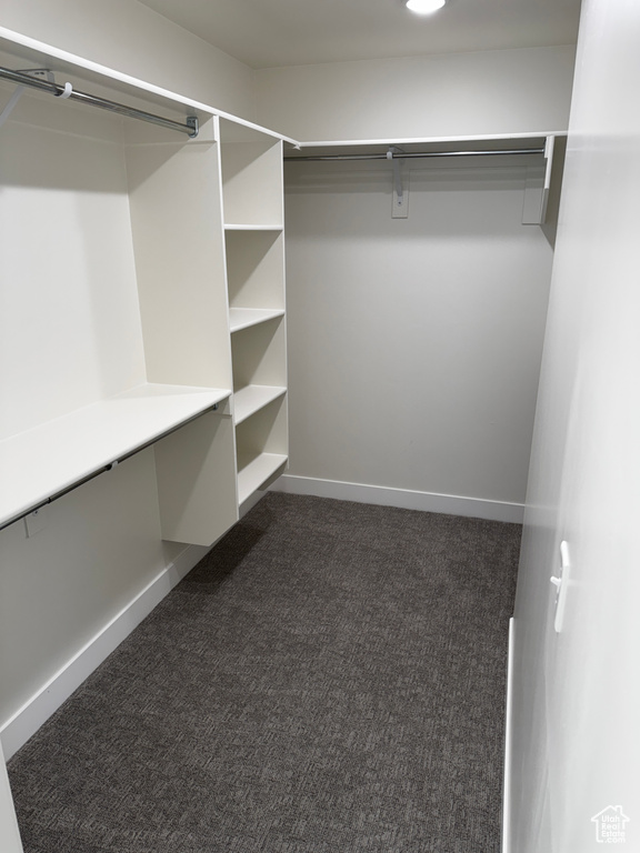 Walk in closet featuring dark carpet
