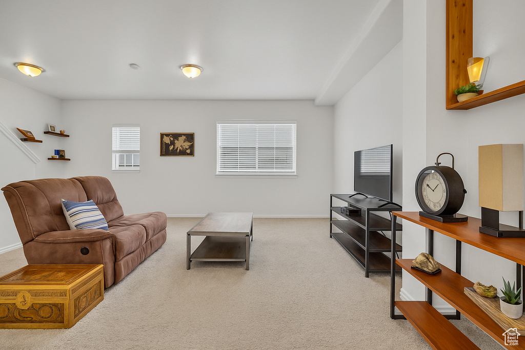 Living room with plenty of natural light, carpet, and baseboards