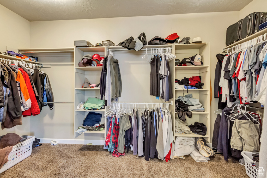 Walk in closet featuring carpet