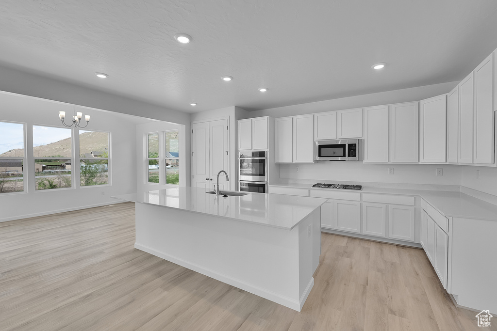 Kitchen featuring stainless steel appliances, a sink, recessed lighting, light wood finished floors, and light countertops