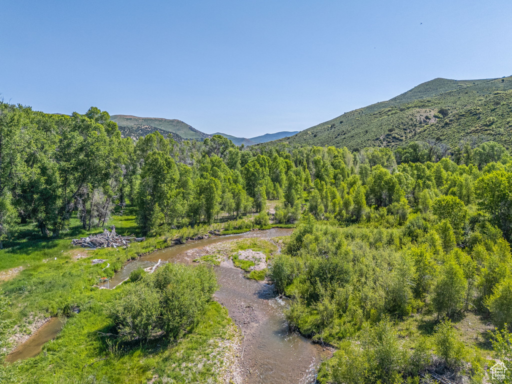 View of mountain backdrop with a heavily wooded area