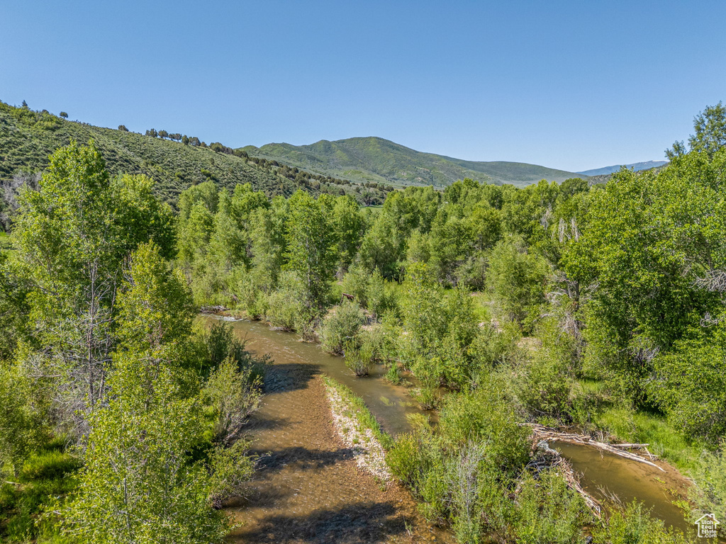 View of mountain backdrop with a heavily wooded area