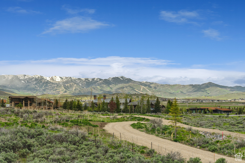View of mountain background