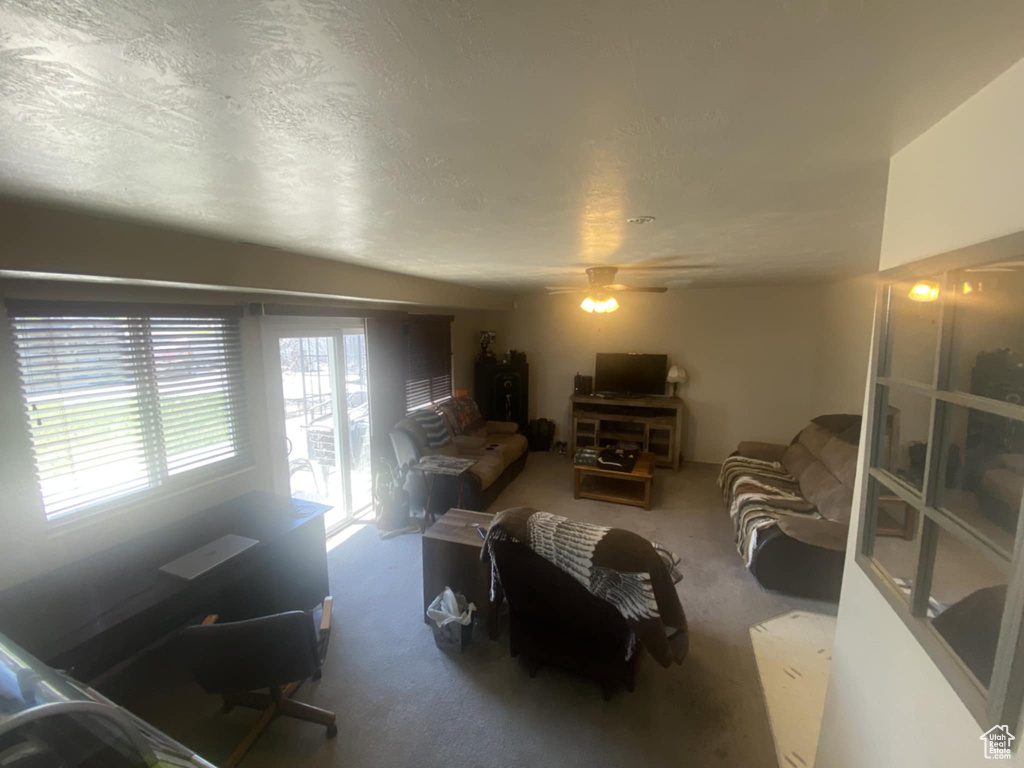 Living area featuring carpet, a ceiling fan, and a textured ceiling