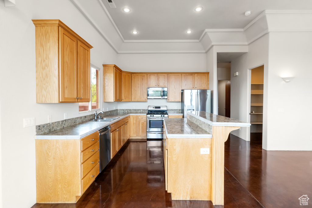 Kitchen featuring a kitchen island, a kitchen breakfast bar, recessed lighting, a sink, and appliances with stainless steel finishes