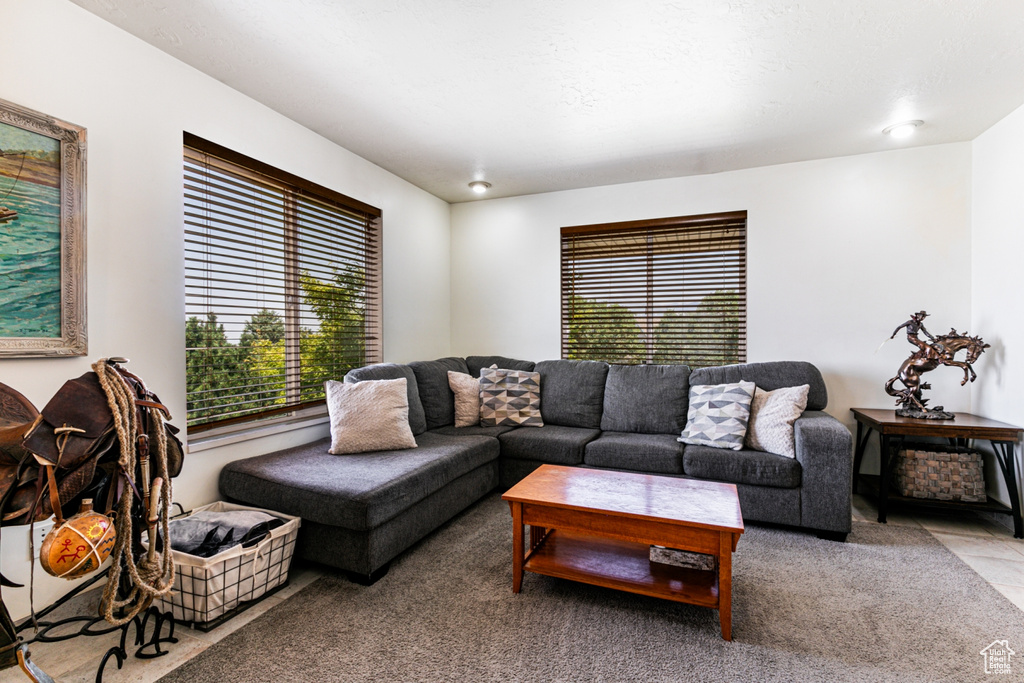 View of carpeted living room